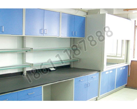 點(diǎn)擊查看商品:實(shí)驗臺